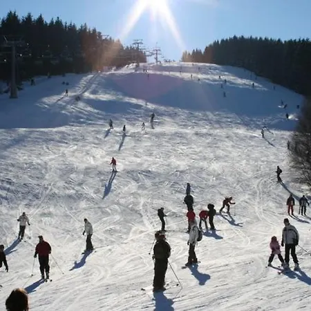 Captivating Apartment In Winterberg Germany Near Ski Area